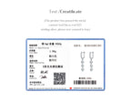 Boucles d’Oreilles Femme Argent Cascade Éclat Cristal
